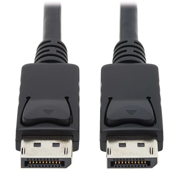 DISPLAY PORT