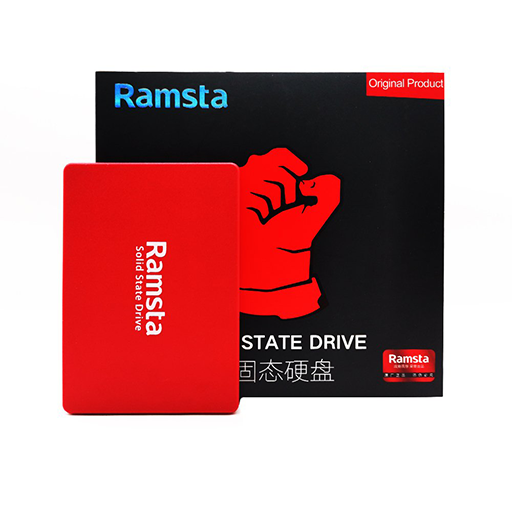 RAMSTA 1TB S800 SSD